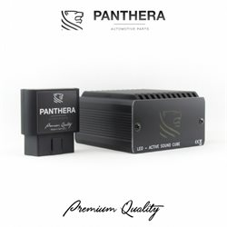 PANTHERA LEO OBDII UPgrade kit