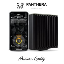 PANTHERA LEO OBDII UPgrade kit