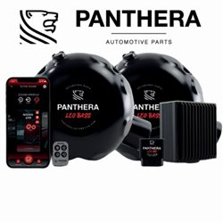 PANTHERA LEO-7.0-KIT-1