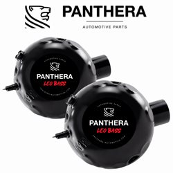PANTHERA LEO-7.0-KIT-1