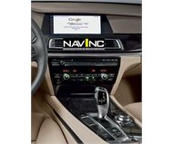 Navinc IF-SW-T10