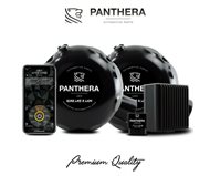 PANTHERA LEO OBDII ACTIVE SOUND 5.0 DUO