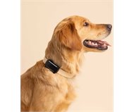 Tractive TRDOG6BK GPS Pet Tracker ������ Black (�������)