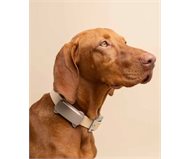 Tractive TRDOG6BR GPS Pet Tracker  Brown ()
