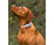 Tractive TRDOG6MT GPS Pet Tracker  Mint ()