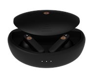 Artsound BRAINWAVE04 Black Earbuds   
