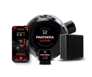 PANTHERA LEO-7.0-ELC