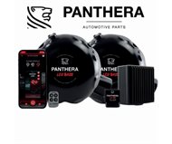 PANTHERA LEO-7.0-KIT-1