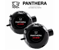 PANTHERA LEO-7.0-KIT-1